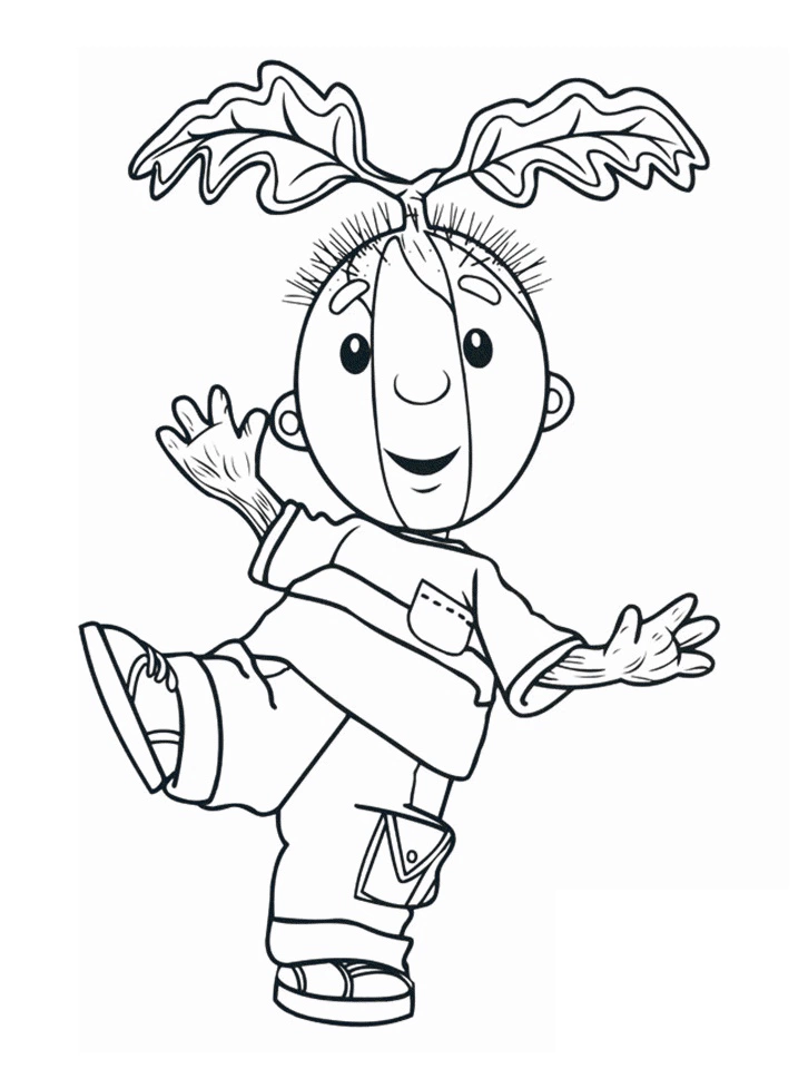 Gooseberry boy coloring book